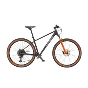 KTM Ultra Fun 29.jpg