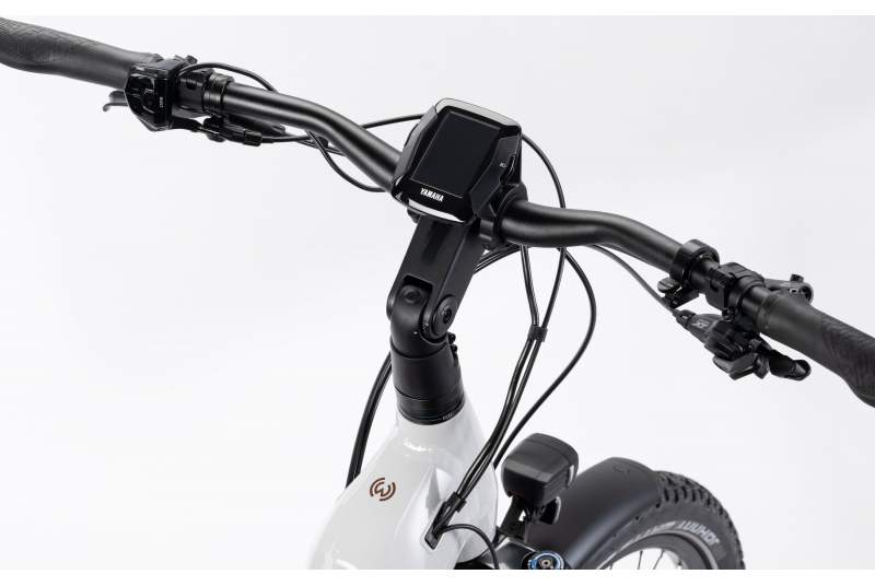 bicicleta winora yucatan x12 pro low 2025 3.jpg